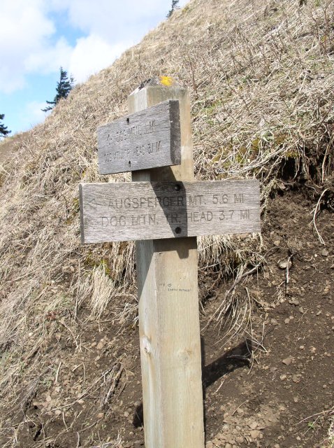 3.24.06 Dog Mountain 037 